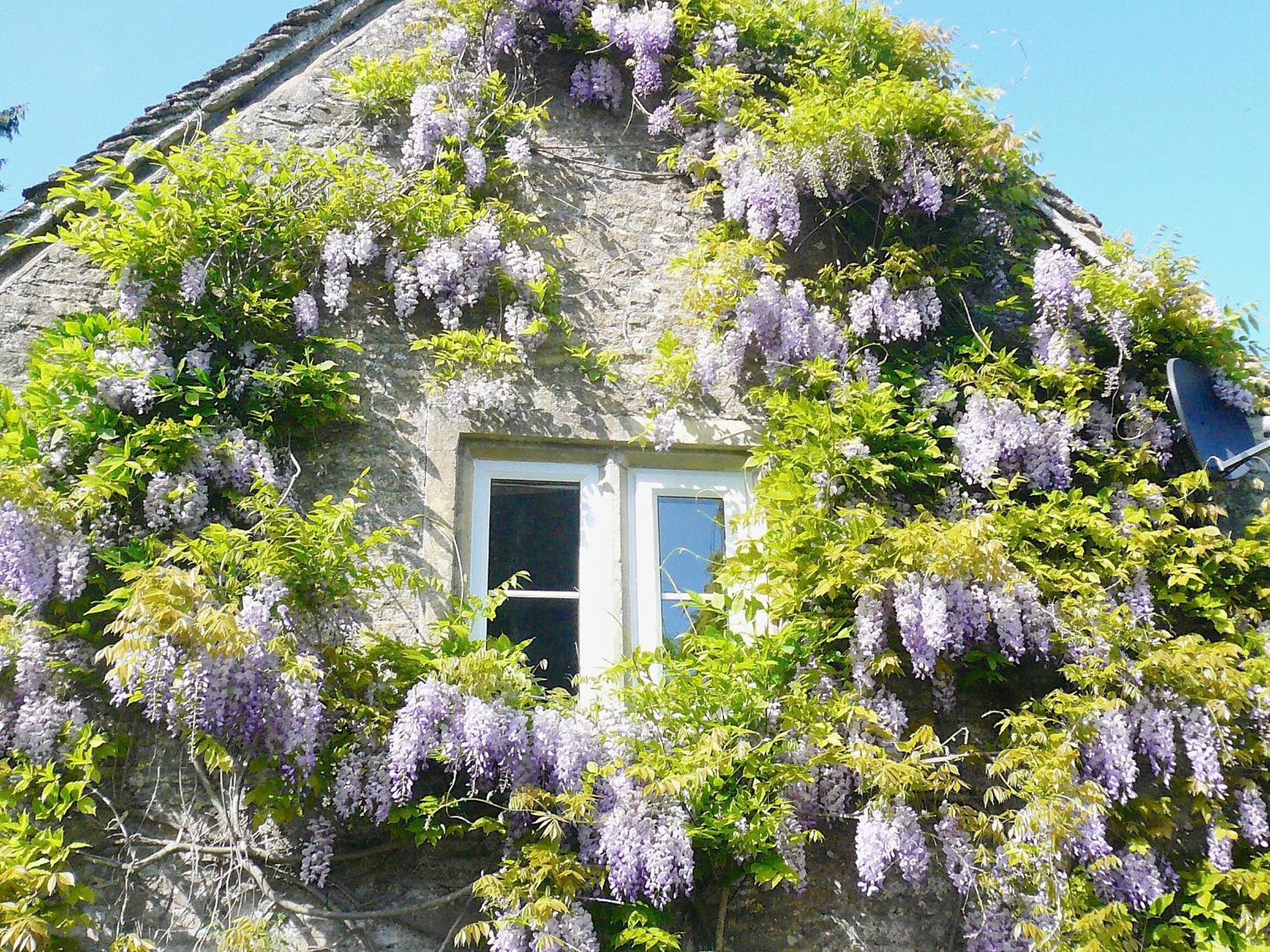 Ivy Cottage Chedworth Екстер'єр фото